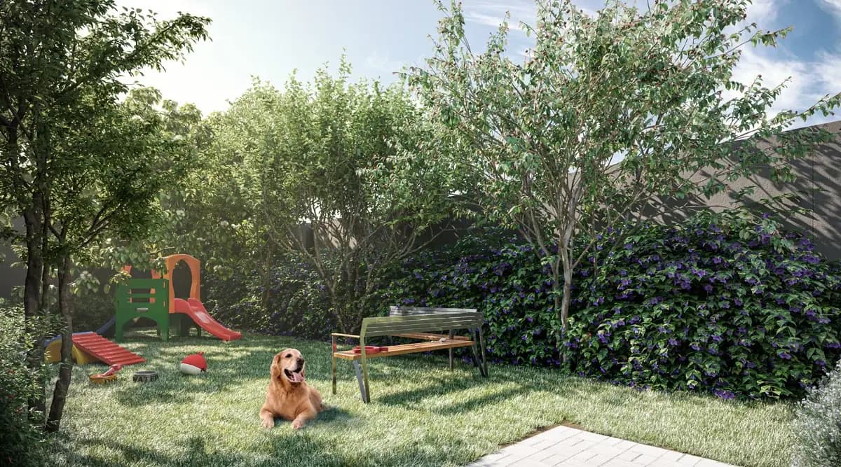 Pet Place · Perspectiva artística