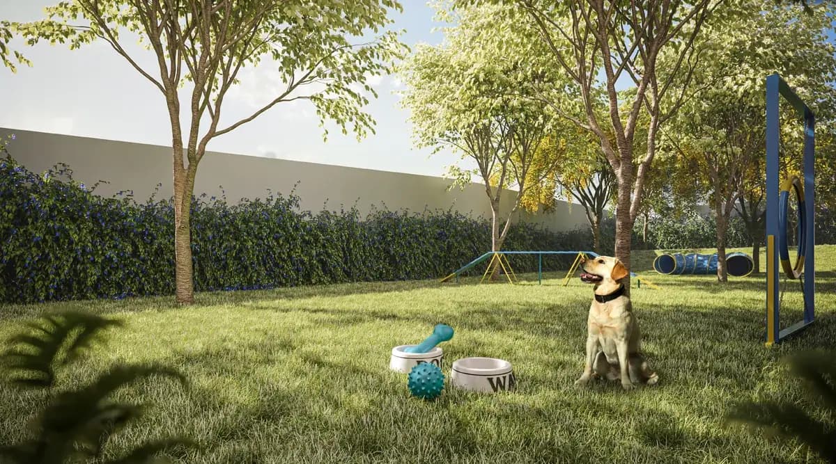 Pet place · Perspectiva artística