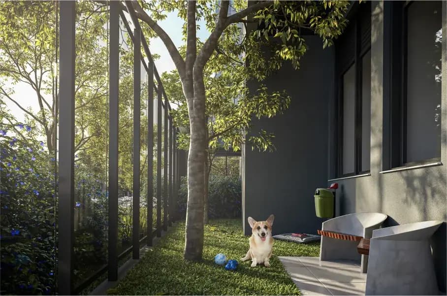 Pet place · Perspectiva artística
