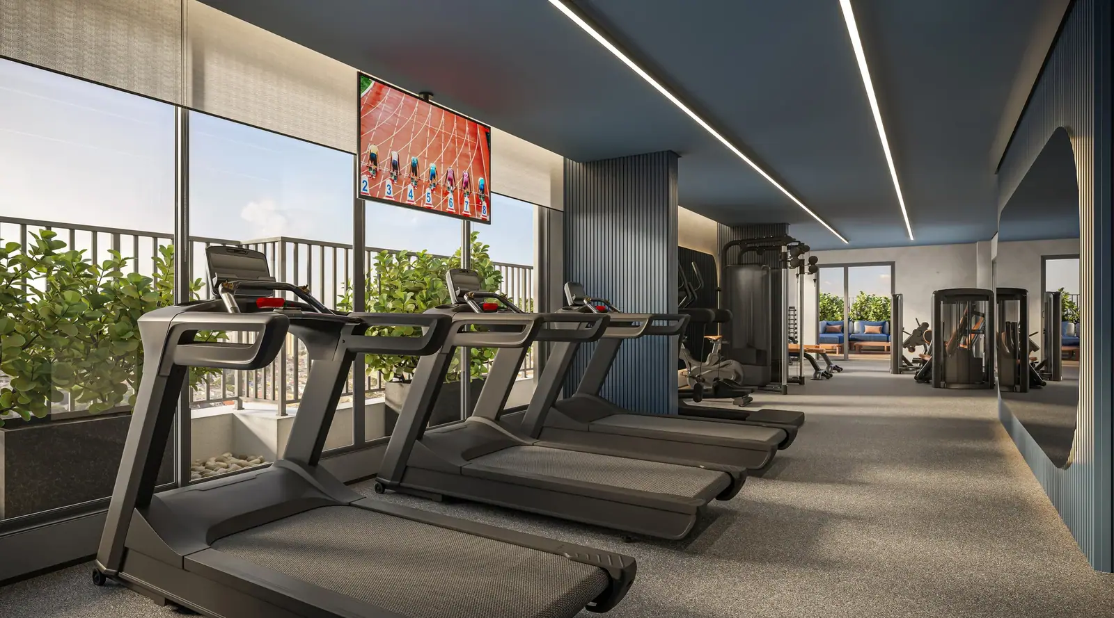 Fitness · Perspectiva artística